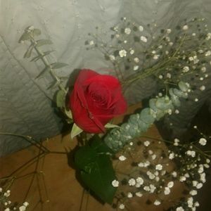 Meet your Posher, Yareli